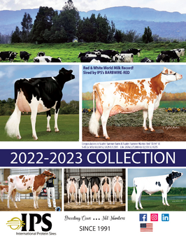 2022-2023 Catalog